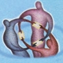 RIABILITAZIONE SENSORI-MOTORIA SECONDO METODOLOGIA DELACATO DI ORGANIZZAZIONE NEUROLOGICA
