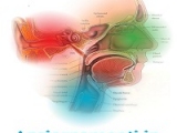 AGGIORNAMENTI IN RINO-OTOLOGIA