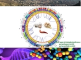 CANCRO ed Alimentazione: the new Food Revolution