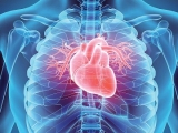 IPERTENSIONE ARTERIOSA E MORTE CARDIACA IMPROVVISA