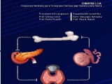 UPDATE ENDOCRINO, METABOLICO E ANDROLOGICO (EnMAn) - IV EDIZIONE